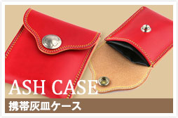 c_case_ash
