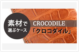 c_case_crocodile