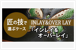 c_case_inlay