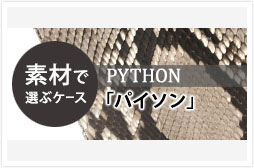 c_case_python