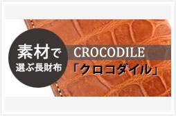 c_long_crocodile